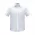  S812MS - Mens Euro Short Sleeve Shirt - White